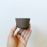 Little Stump Cup